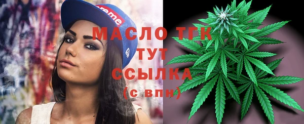 соль ск Бородино