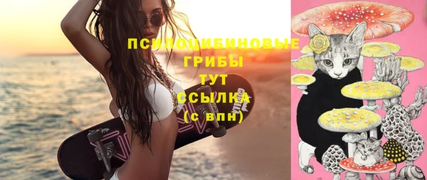гидропоника Бронницы