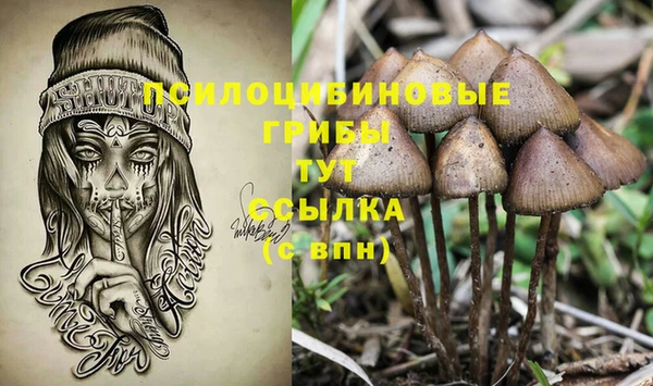 первитин Покровск
