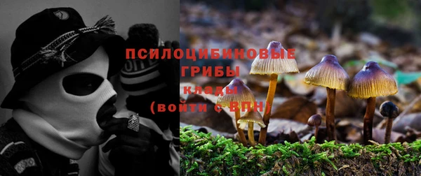 гашик Покров