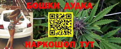 соль ск Будённовск