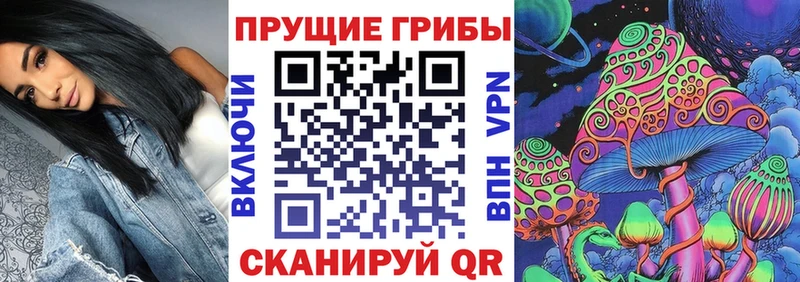 Галлюциногенные грибы прущие грибы  купить   Буйнакск 