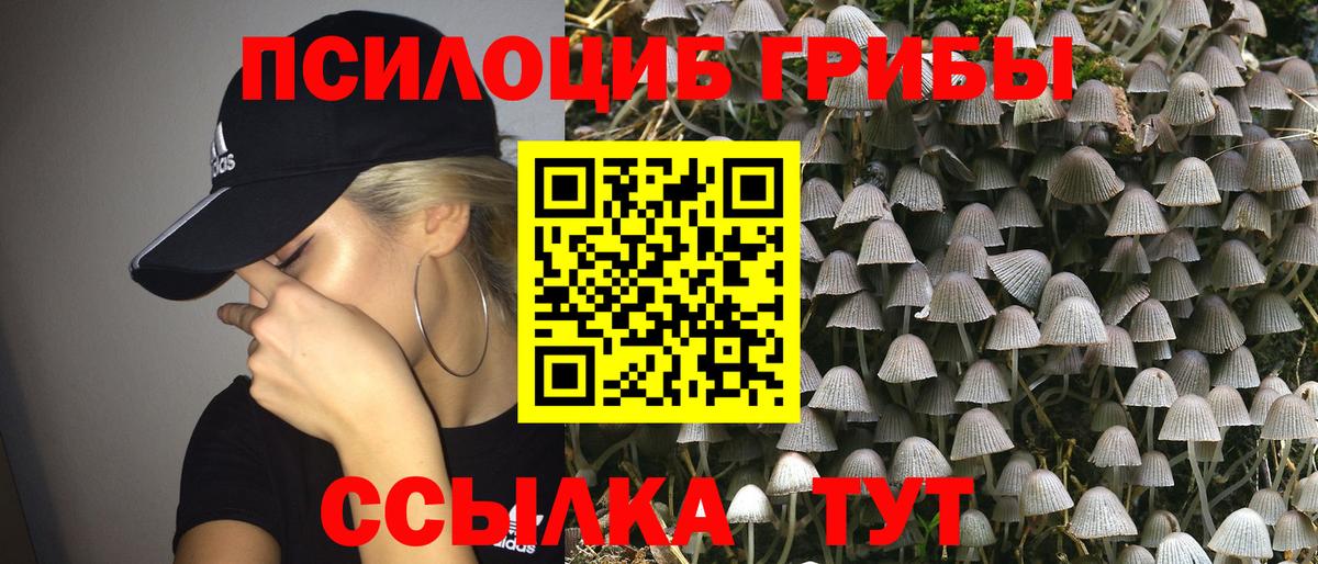 Буйнакск  Галлюциногенные грибы Psilocybe  Вход с VPN 