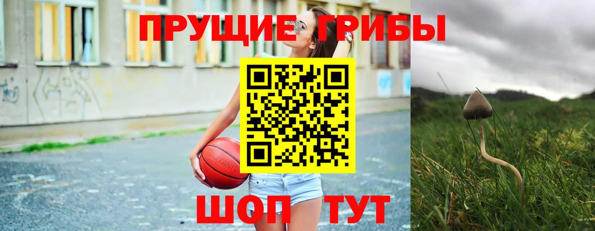 Галлюциногенные грибы мухоморы  Буйнакск 